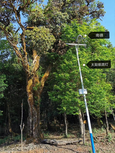 河南信陽市羊山新區南京路街道:安裝太陽能道路燈照亮百姓回家路