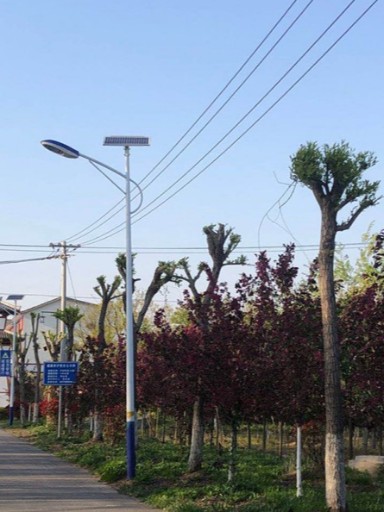 新農村建設首選：0電費支出的夜色名片