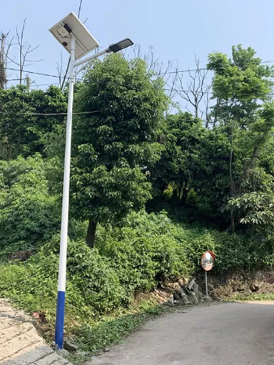 廣西省欽州市小董鎮太陽能路燈工程案例