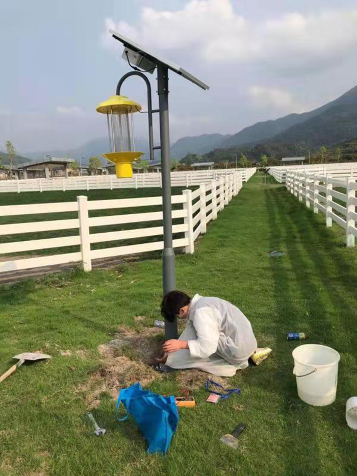 廣東太陽能殺蟲燈_廣州太陽能殺蟲燈_太陽能殺蟲燈