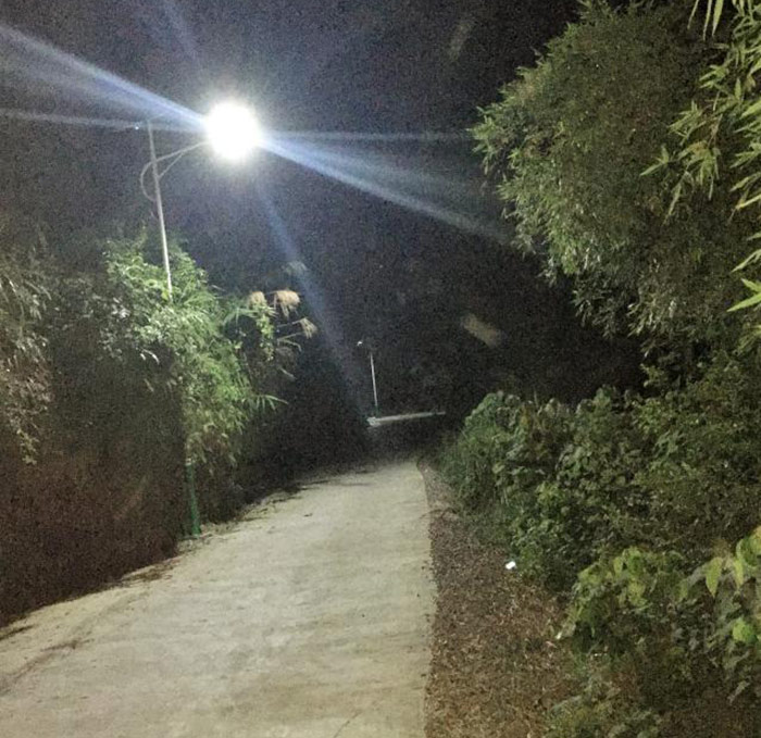 湖南太陽(yáng)能路燈