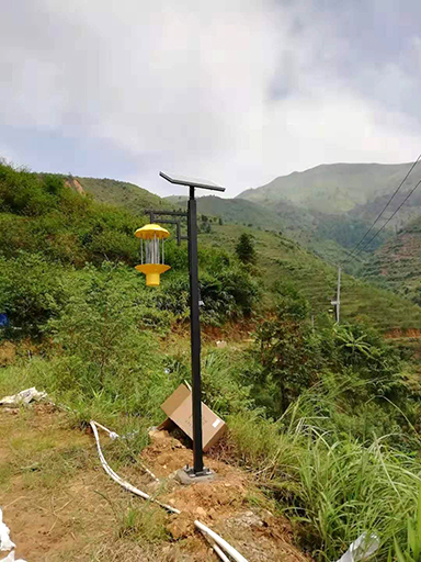 廣東茂名信宜市太陽(yáng)殺蟲燈工程案例（1）