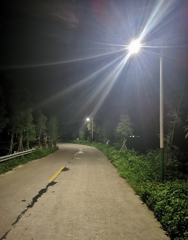 太陽能路燈_四川太陽能路燈_南德